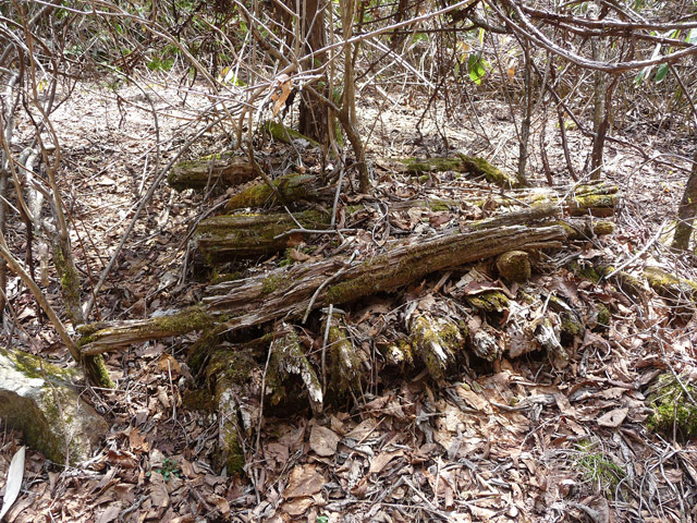 �֐��d�͎O�Y�_����p��,����X�ѓS������,�ѓS,�p����