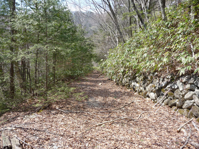 �֐��d�͎O�Y�_����p��,����X�ѓS������,�ѓS,�p����