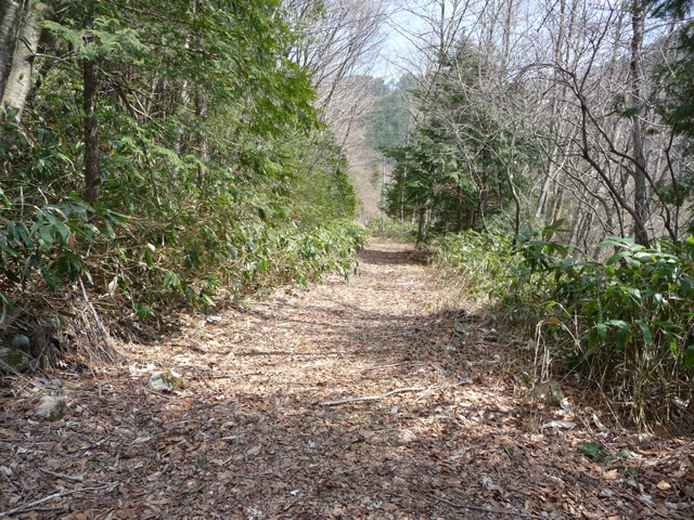 �֐��d�͎O�Y�_����p��,����X�ѓS������,�ѓS,�p����