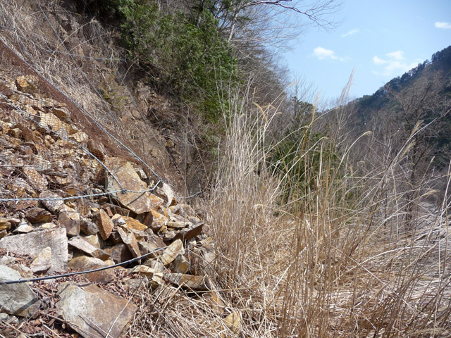 �֐��d�͎O�Y�_����p��,����X�ѓS������,�ѓS,�p����