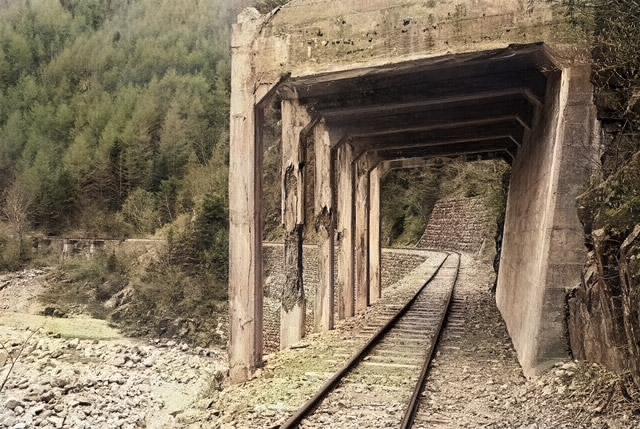 �֐��d�͎O�Y��p��,����X�ѓS������,�ѓS,���Ε���,��������