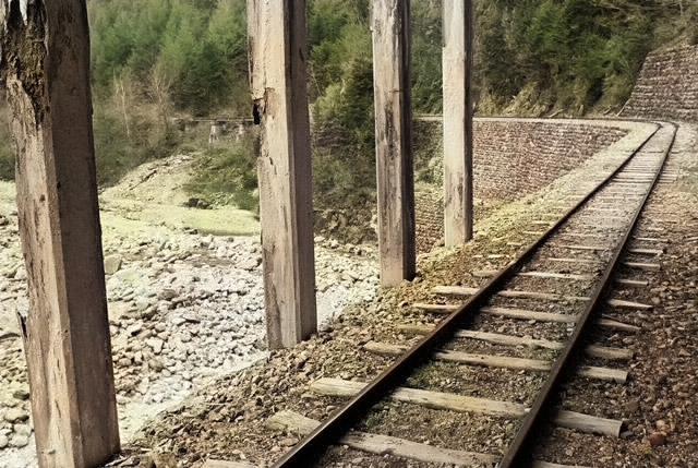 �֐��d�͎O�Y�_����p��,����X�ѓS������,�ѓS,���H,���[��