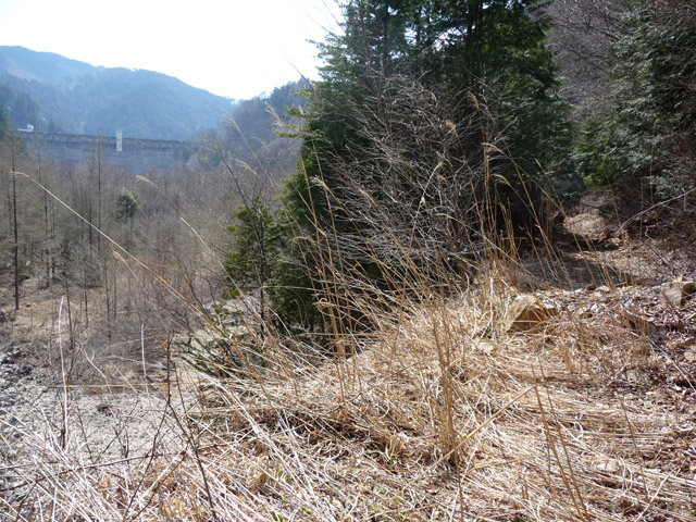 �֐��d�͎O�Y�_����p��,����X�ѓS������,�ѓS,�p����,�O����