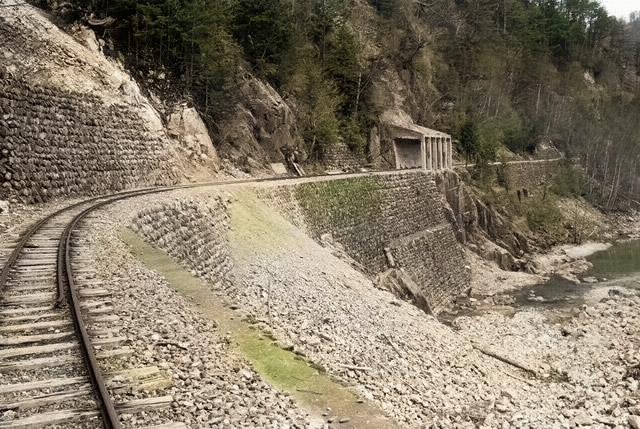 �֐��d�͎O�Y�_����p��,����X�ѓS������,�ѓS,�O��,�J���[���ʐ^