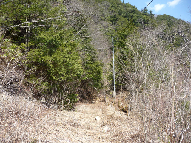 �֐��d�͎O�Y�_����p��,����X�ѓS������,�ѓS,�p����,�T�J�T�}�J����