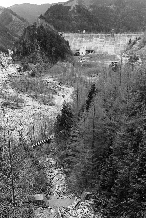 �֐��d�͎O�Y�_����p��,����X�ѓS������,�ѓS,�T�J�T�}�J����