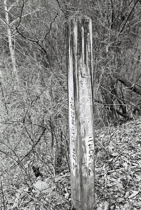 ����X�ѓS�������,�ѓS,�ѓ��W,�x��