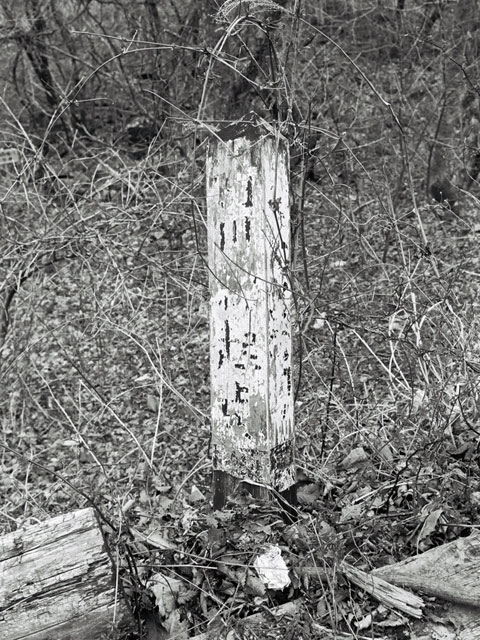 ����X�ѓS�������,�ѓS,�ѓ��W