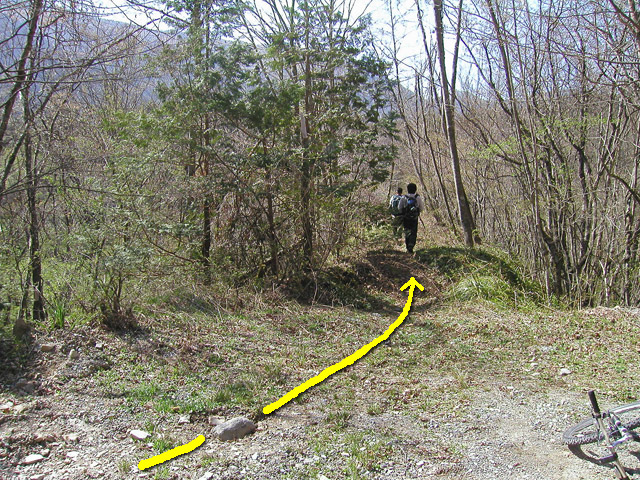 ����X�ѓS�������,�ѓS,�p����,����