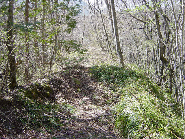 ����X�ѓS�������,�ѓS,�p����,����