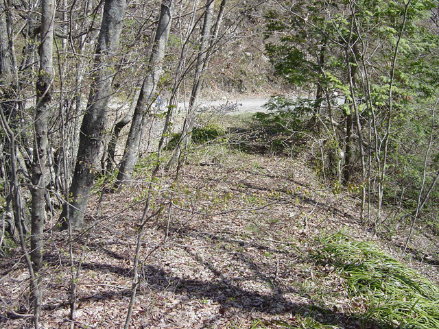 ����X�ѓS��,�ѓS,����싴��,����S��,�p����