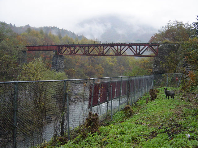 ����X�ѓS�������,����싴��,�ѓS,�p����,��z,��\