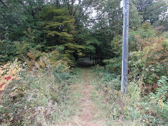 ����X�ѓS�������,�ѓS,�p����,����,�֐��d�͐�p��