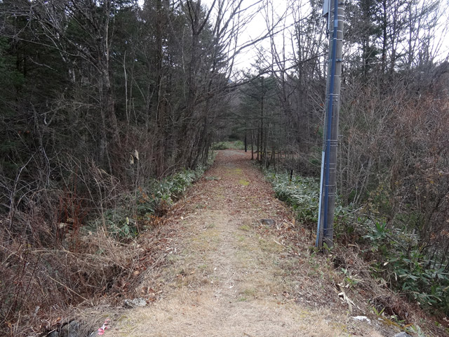 ����X�ѓS�������,�ѓS,�p����,����,�֐��d�͐�p��