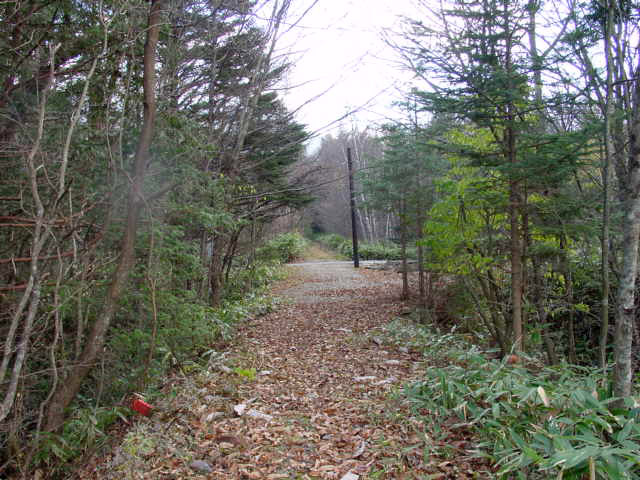 ����X�ѓS�������,�ѓS,�p����,����,�֐��d�͐�p��