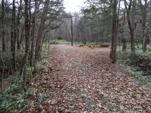 ����X�ѓS��,�ѓS,�p����,�֐��d�͐�p��,�ؑ]�X