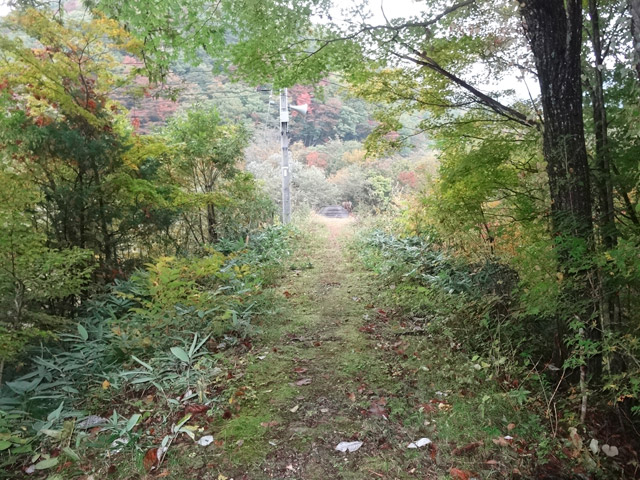 ����X�ѓS��,�ѓS,�p����,�֐��d�͐�p��,�ؑ]�X