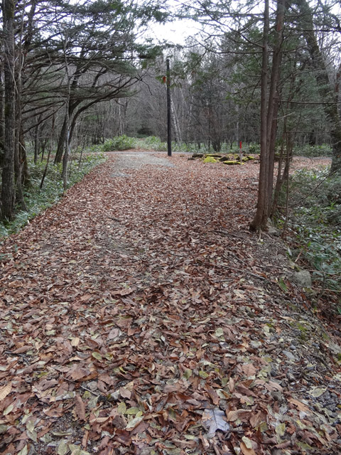 ����X�ѓS��,�ѓS,�p����,�֐��d�͐�p��,�ؑ]�X