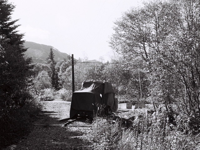 ����X�ѓS��,�ѓS,�p����,�֐��d�͐�p��,�ؑ]�X