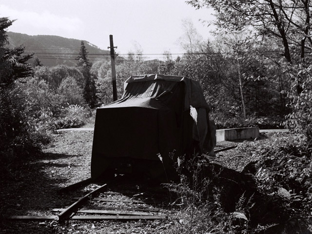 ����X�ѓS�������,�ѓS,�p����,�֐��d�͐�p��,�ؑ]�X