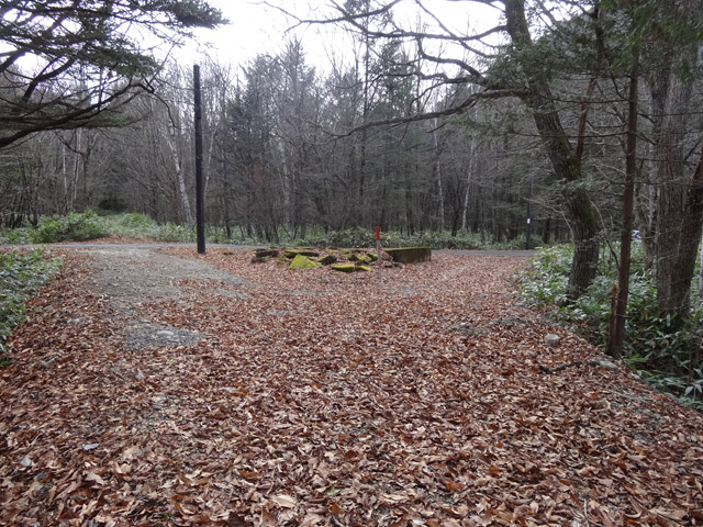 ����X�ѓS�������,�ѓS,�p����,�֐��d�͐�p��,�ؑ]�X