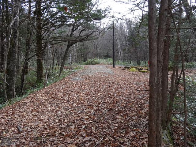 ����X�ѓS�������,�ѓS,�p����,�֐��d�͐�p��,�ؑ]�X