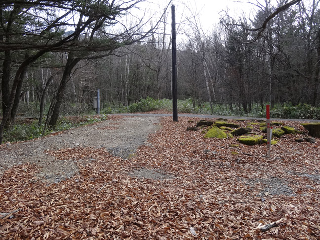 ����X�ѓS�������,�ѓS,�p����,�֐��d�͐�p��,�ؑ]�X