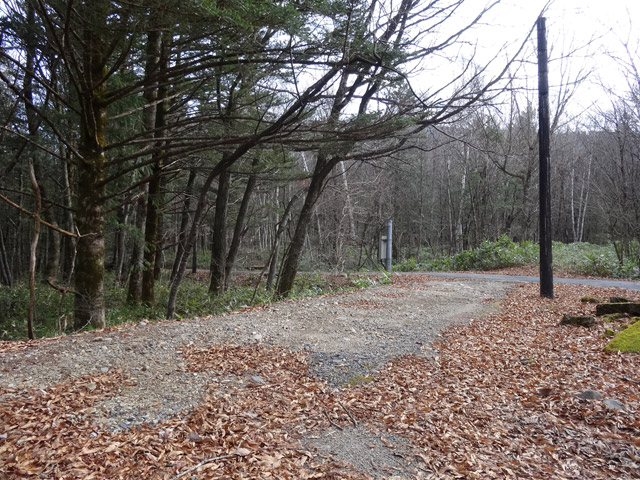 ����X�ѓS�������,�ѓS,�p����,�֐��d�͐�p��,�ʐM��