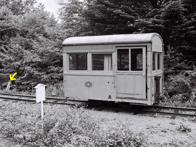 ����X�ѓS�������,�ѓS,�p����,�֐��d�͐�p��,�q��,���z�W