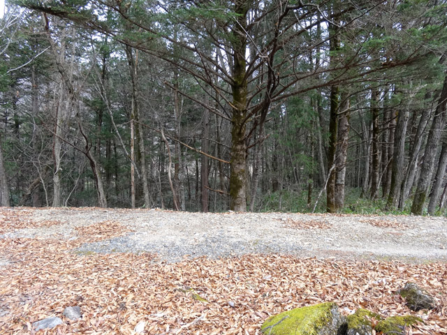 ����X�ѓS�������,�ѓS,�p����,�֐��d�͐�p��,�ؑ]�X,����