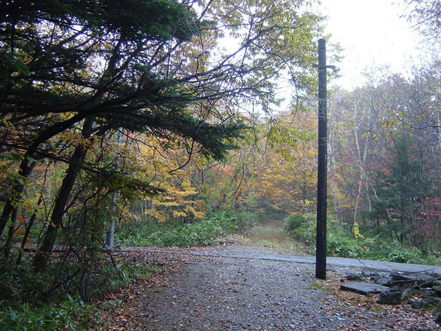 ����X�ѓS��,�ѓS,�p����,�֐��d�͐�p��,�ؑ]�X,�ʐM��