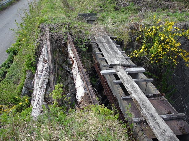 �����X�ѓS��,�ѓS,,�p����