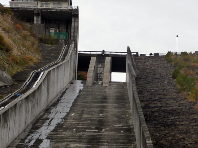 ���X��_��,�^���f