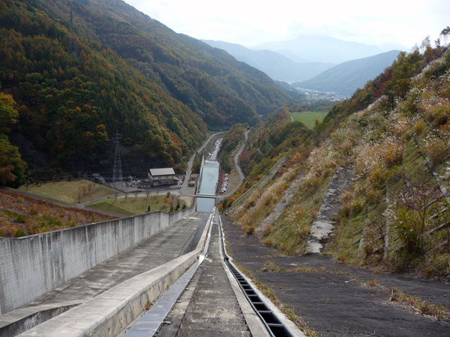 ���X��_��,�^���f,���w��