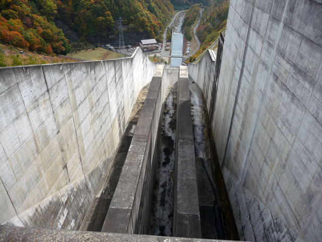 ���X��_��,�^���f,���w��