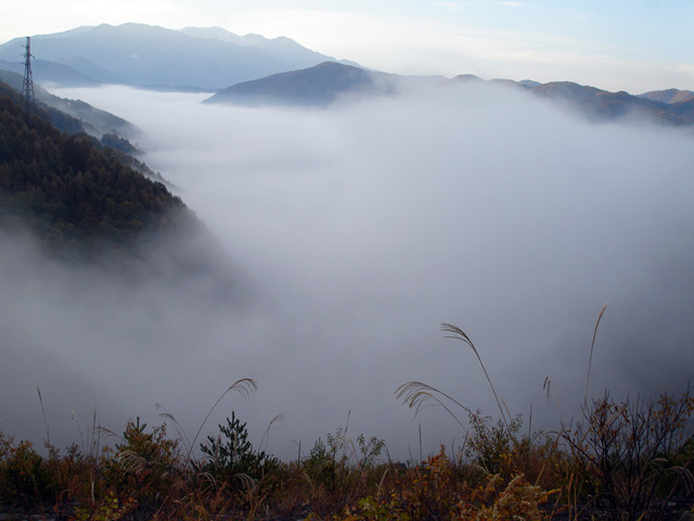 ���X��_��,���,�_�C