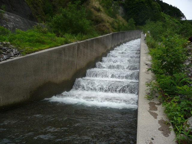 ���ؑ]�ѓS,�����X�ѓS��,�������ƋO��,��Ɛ�