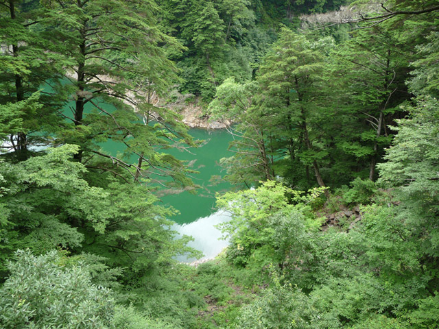 �����X�ѓS���u���ؑ]�勴�[�Z���~��v