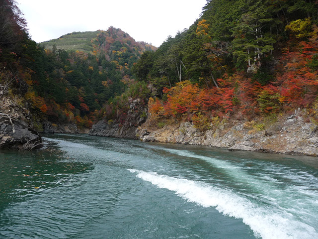 �����X�ѓS��,���ؑ]��,,���}�g�C���i,�ؑc��,�o�b�N�E�H�[�^�[