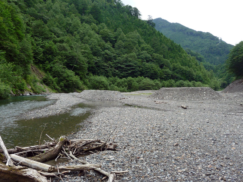 �����X�ѓS���u���蒙���_���[�Z���~��v