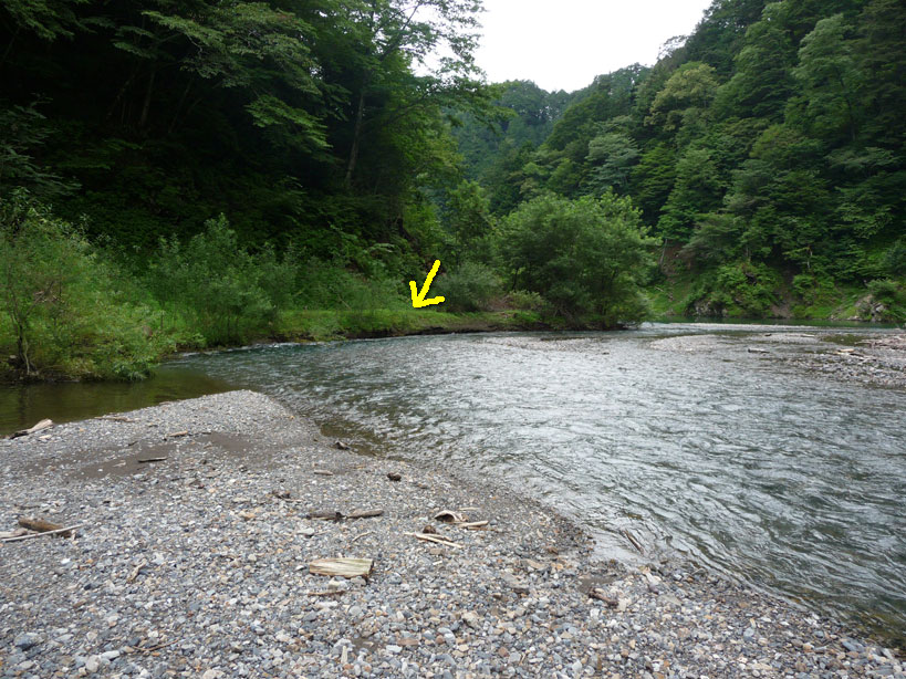 �����X�ѓS���u���蒙���_���[�Z���~��v