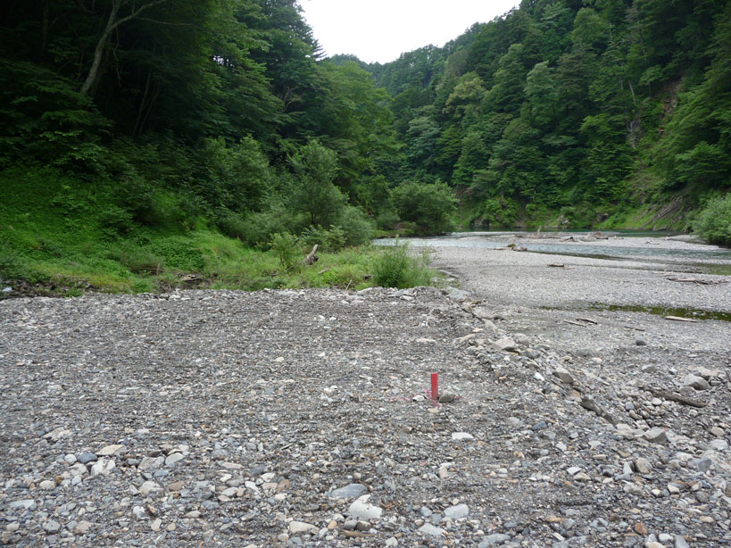 �����X�ѓS���u���蒙���_���[�Z���~��v