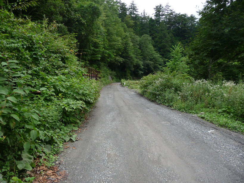 �����X�ѓS���u�Z���~���ԏ�v