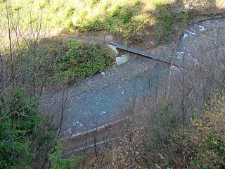 �����X�ѓS���u�Z���~���ԏ�v