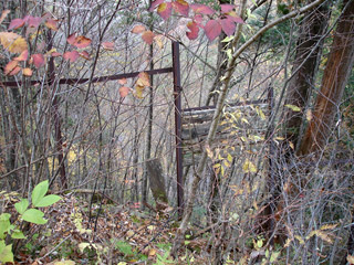 �����X�ѓS���u�Z���~���ԏ�v