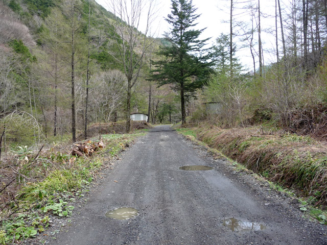 �����X�ѓS��,�ѓS,�p����,�M�����ԏ�