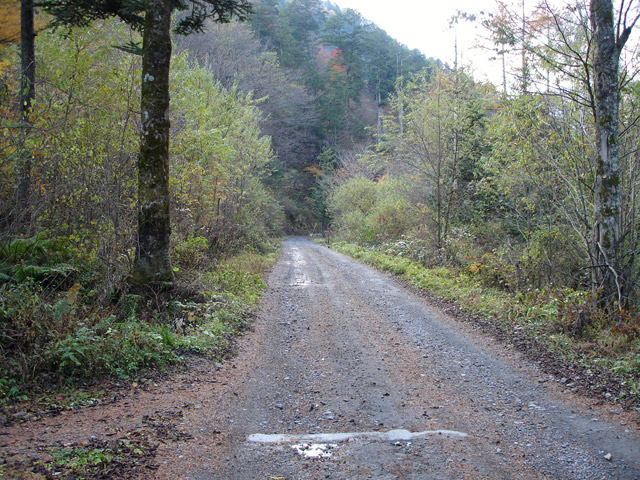 �����X�ѓS��,�ѓS,�p����,�M�����ԏ�