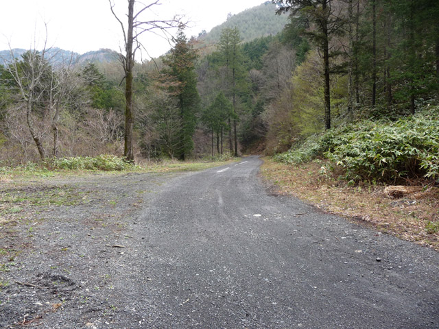 ���ؑ]�X�ѓS��,�M�����ԏ�,�����X�ѓS��,�ѓS,�p����