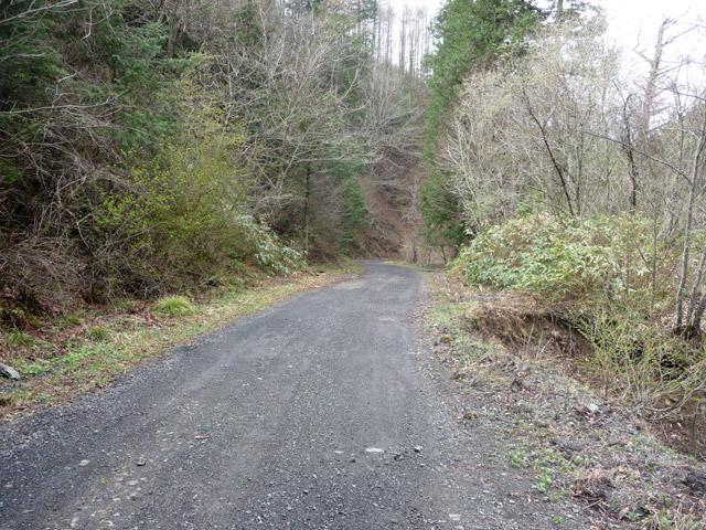 ���ؑ]�X�ѓS��,�����X�ѓS��,�ѓS,�p����