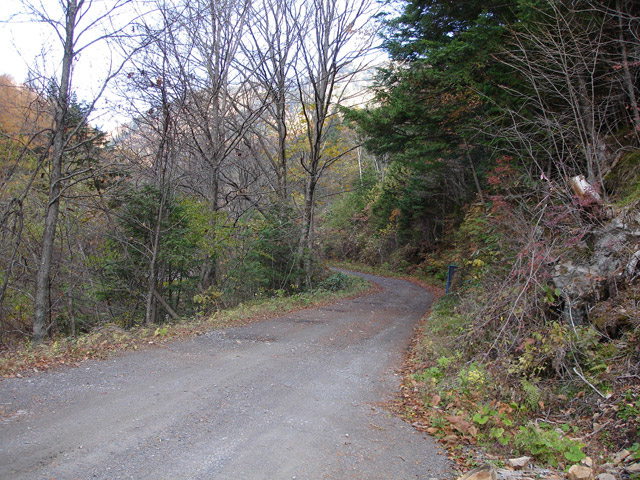 �����ѓS,�p����,���ؑ]�X�ѓS��